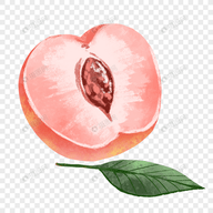 WWW,av229·COM网站APPAPP应用